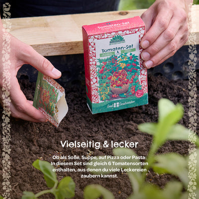 BIO-Saatgut-Set „Tomaten“ – 6 samenfeste Sorten, EU-zertifiziert