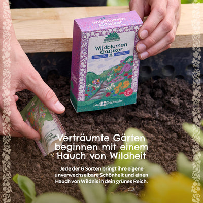 Saatgut-Set „Wildblumen“ – 6 samenfeste Sorten