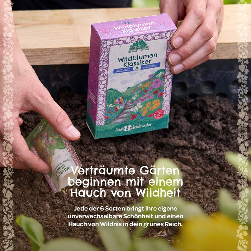 Saatgut-Set „Wildblumen“ – 6 samenfeste Sorten — Ansicht 3