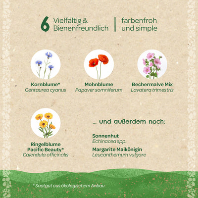 Saatgut-Set „Wildblumen“ – 6 samenfeste Sorten