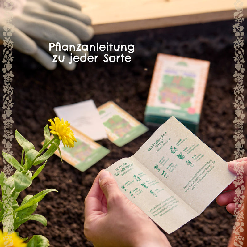 Saatgut-Set „Wildblumen“ – 6 samenfeste Sorten — Ansicht 7