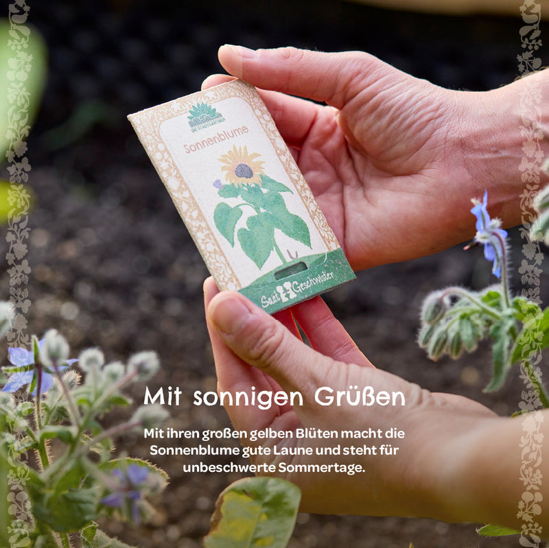 BIO-Saatgut Sonnenblume – EU-zertifiziert, samenfest — Ansicht 3