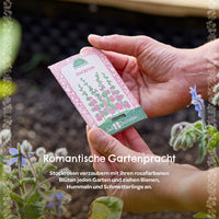 Saatgut Stockrose – Bauerngarten-Klassiker von Die Stadtgärtner — Ansicht 3