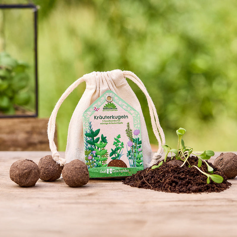 Herb Balls – Seed Balls with Organic Herbs, handmade — Die Stadtgärtner
