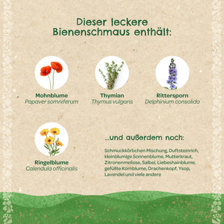 Saatkugeln "Bienenschmaus"