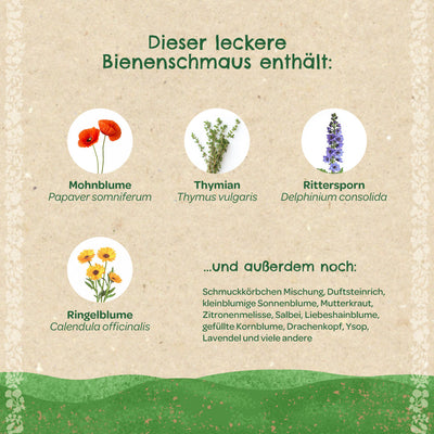 Saatkugeln „Bienenschmaus“ – Wildblumenmischung zum Werfen