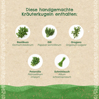 Kräuterkugeln – Saatkugeln mit Kräutern