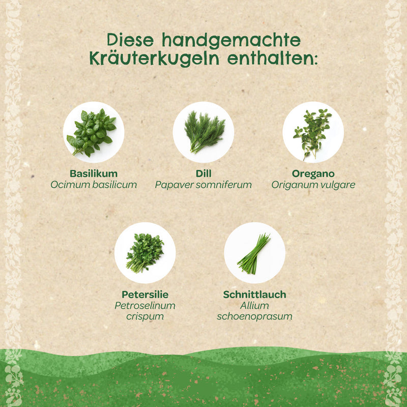Herb Balls – Seed Balls with Organic Herbs, handmade — Ansicht 3