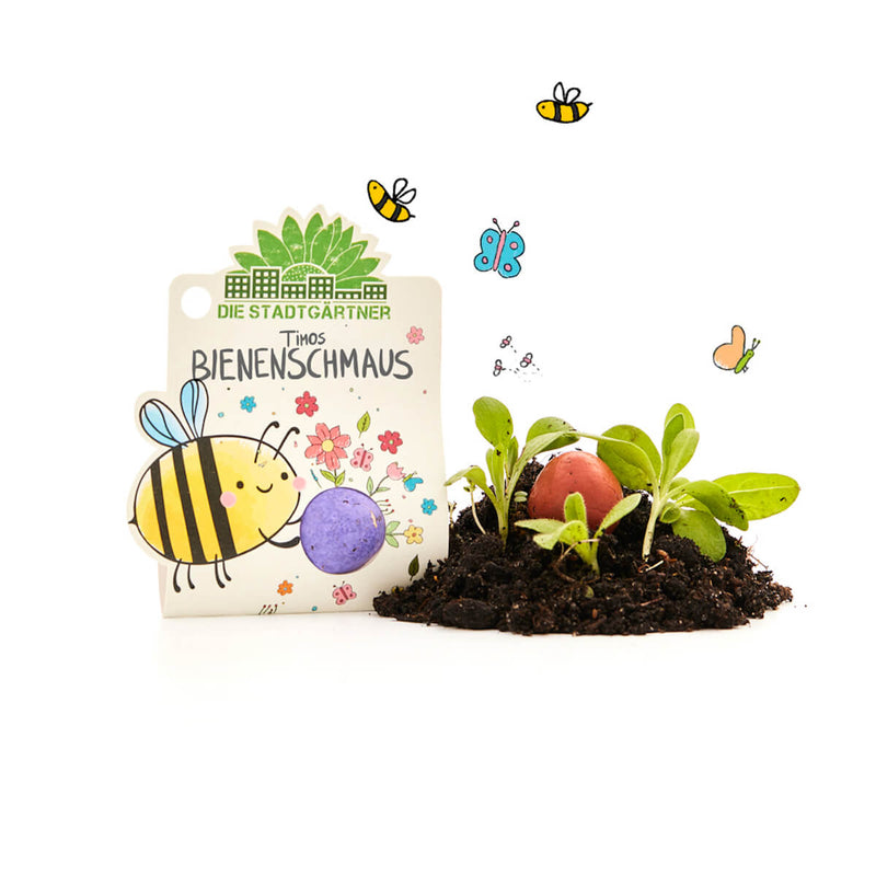 Blumenmurmel „Timos Bienenschmaus“ – Wildblumen-Seedball handgefertigt — Ansicht 2