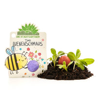 Blumenmurmel „Timos Bienenschmaus“ – Wildblumen-Seedball handgefertigt — Ansicht 7