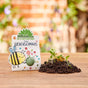 Blumenmurmel „Timos Bienenschmaus“ – Wildblumen-Seedball handgefertigt