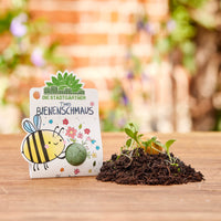 3 x 1 Seed Bomb – All Wildflower Seed Varieties — Ansicht 7