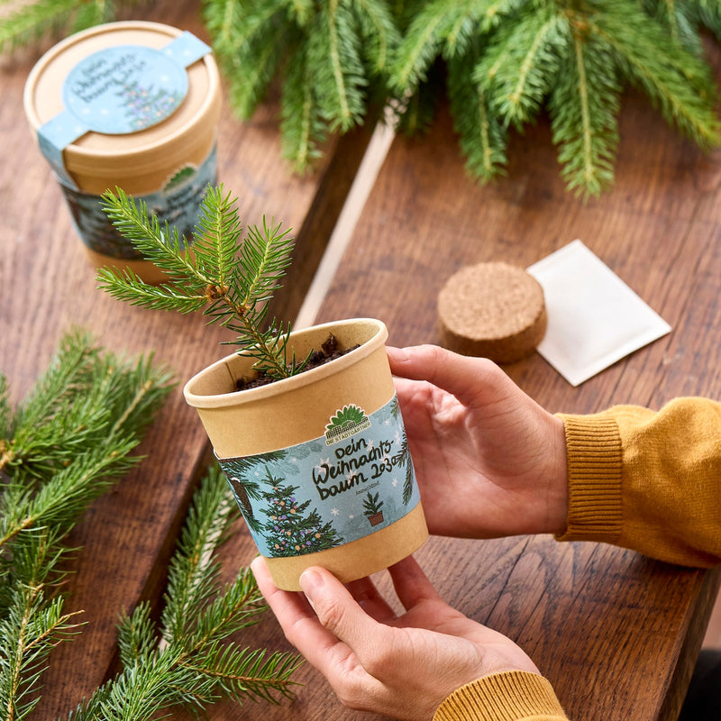 Festive Seed Growing Kit – 3 Christmas Varieties from Die Stadtgärtner — Ansicht 4