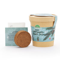 Festive Seed Growing Kit – 3 Christmas Varieties from Die Stadtgärtner — Ansicht 5