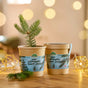 Weihnachtsbaum 2030 Anzuchtset – Fichte aus dem Becher