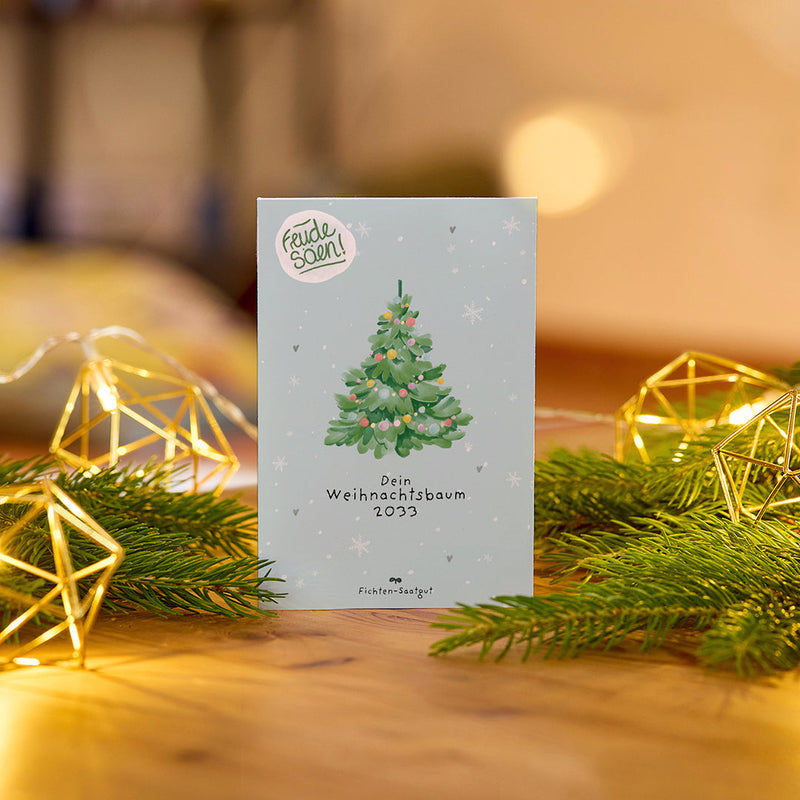 Spruce seeds "Christmas tree 2030" - Grow your own Christmas tree — Die Stadtgärtner