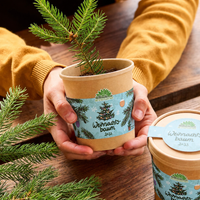 Weihnachtsbaum 2030 Anzuchtset – Fichte aus dem Becher — Ansicht 3