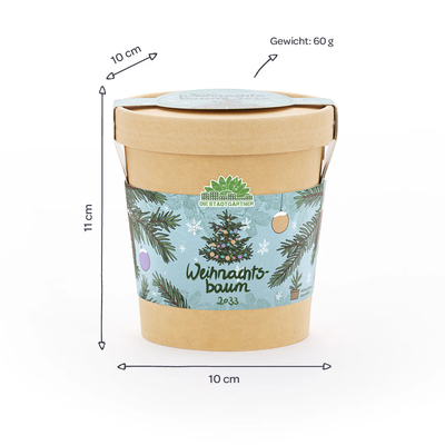 Weihnachtsbaum 2030 Anzuchtset – Fichte aus dem Becher