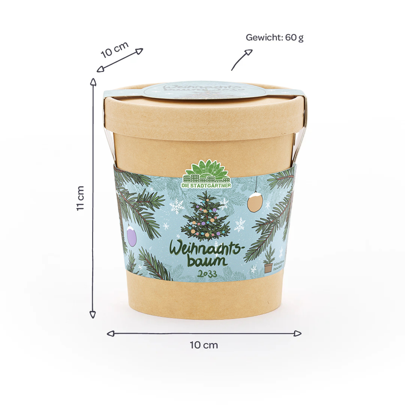 Weihnachtsbaum 2030 Anzuchtset – Fichte aus dem Becher — Ansicht 4