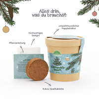 Weihnachtsbaum 2030 Anzuchtset – Fichte aus dem Becher — Ansicht 5