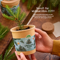 Weihnachtsbaum 2030 Anzuchtset – Fichte aus dem Becher — Ansicht 7