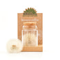 Wish Granter – Handmade Wish Jar with over 100 Wishes